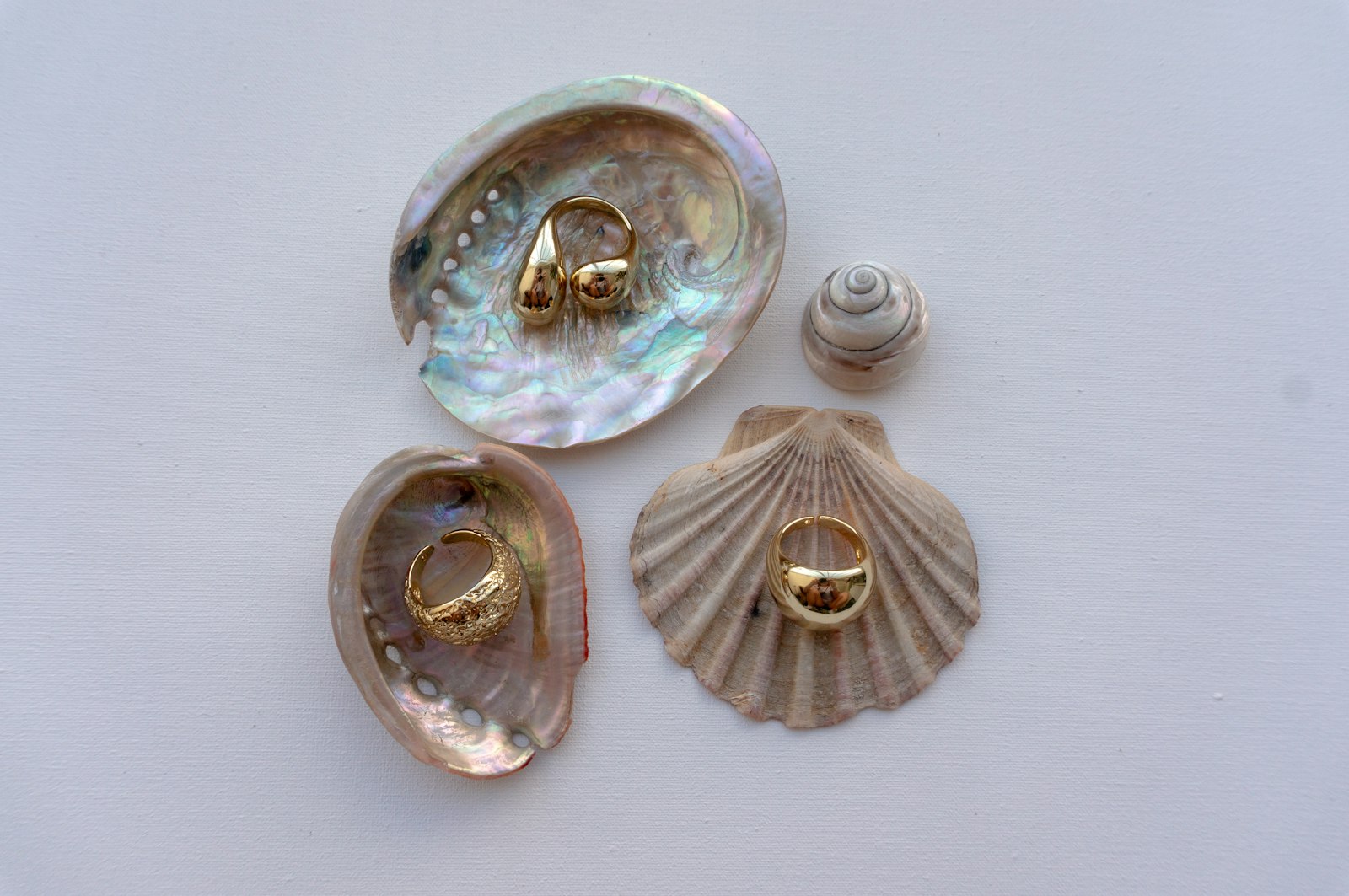 Gold rings resting inside seashells on a white background
